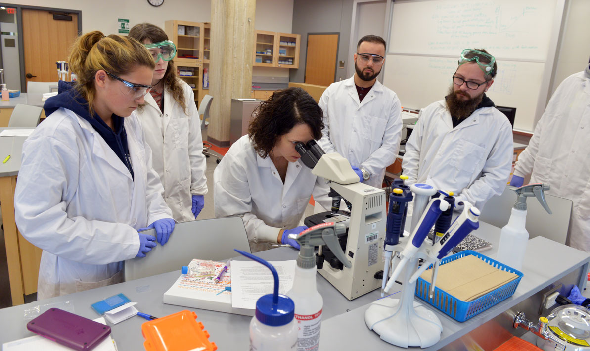 HCC biology professor Emily Rabinsky, seated, leads a biotechnology lab in the Center for Life Sciences.