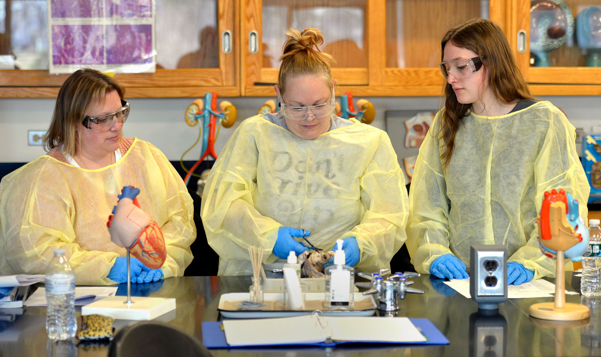 Students in bio lab study the heart