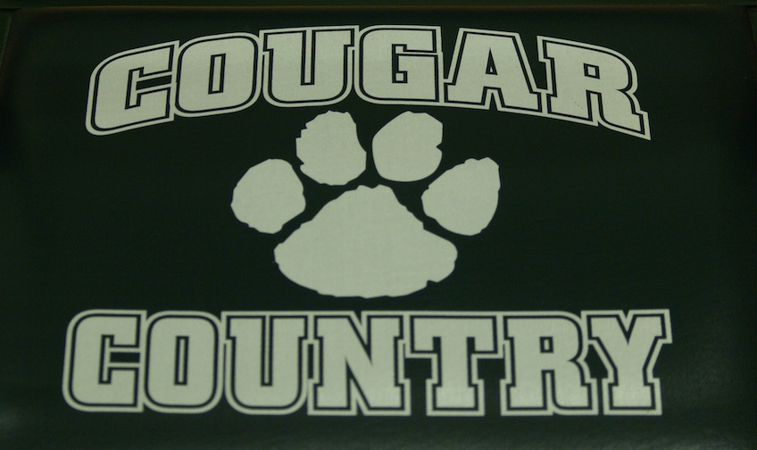 Cougar Country