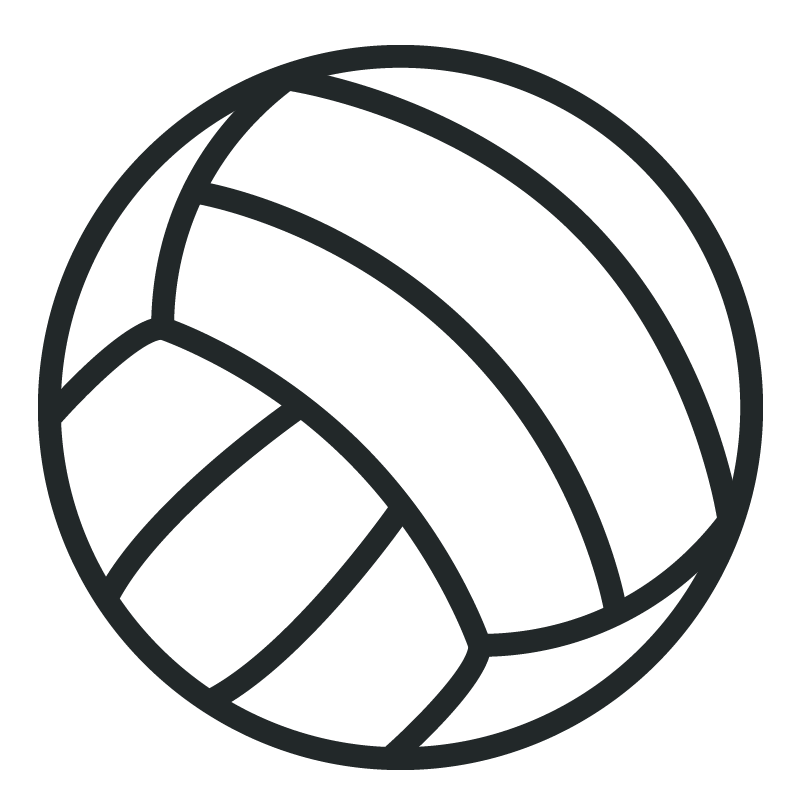 graphic of a volleyball