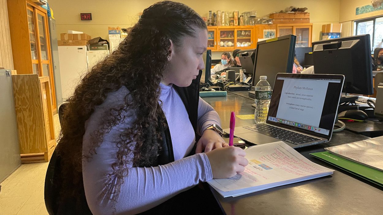 Alondra works at a laptop in a lab classroom at HCC