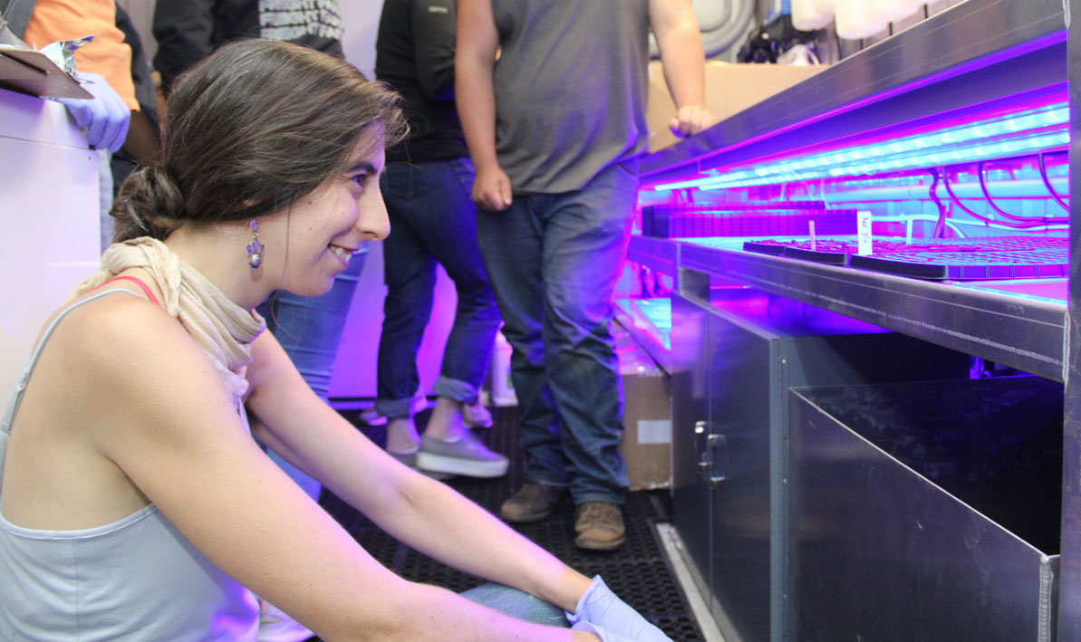 A female intern looks at an ultraviolet light inside a Freight Farm