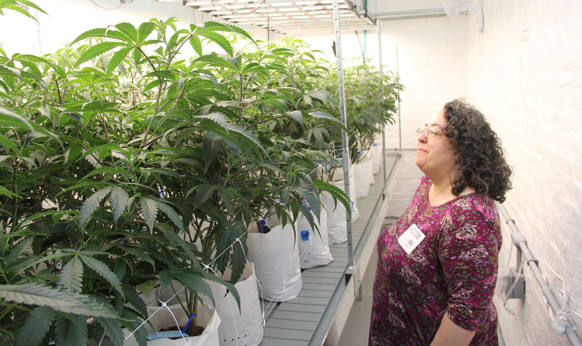 Julia Agron, assistant project coordinator for HCC's Cannabis Education Center, tours the growing operation at Mill Town Agriculture in Holyoke. Mill Town will be one of the cannabis businesses attending a June 1 career fair at Holyoke Community College.
