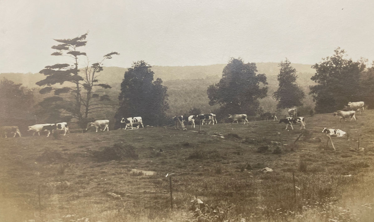 Sheehan Dairy Farm